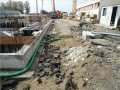 cittadella rugby 01 172