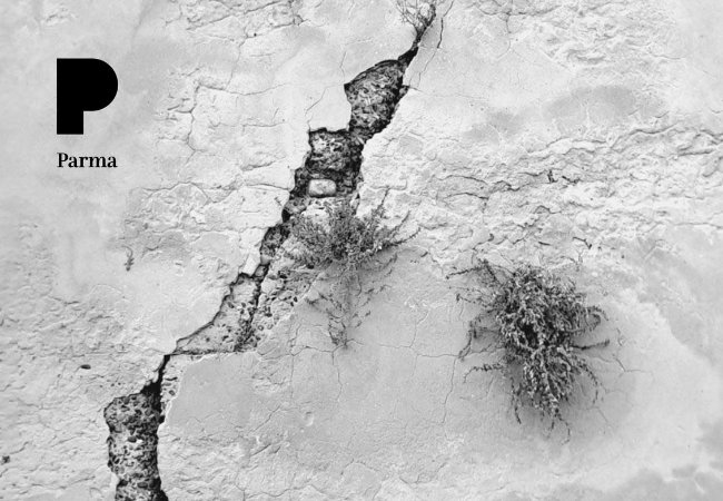 Le Terre Mosse
